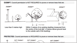 exempt trees for removal