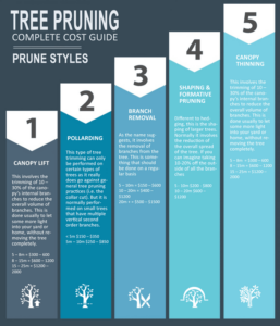 tree pruning cost estimate infographic prune styles