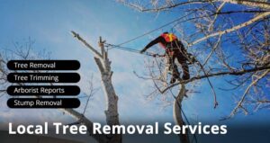 local tree removal services