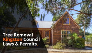 tree removal kingston council laws and permits