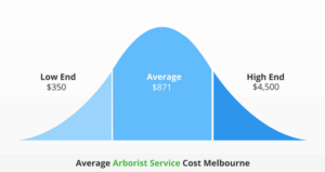 Average Tree Arborist Cost Melbourne