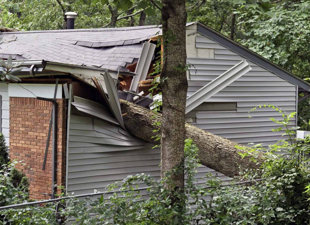 Does Home Insurance Cover Tree Damage New 2024 Guide   Neighbours Trees And Home Insurance 1024x745 