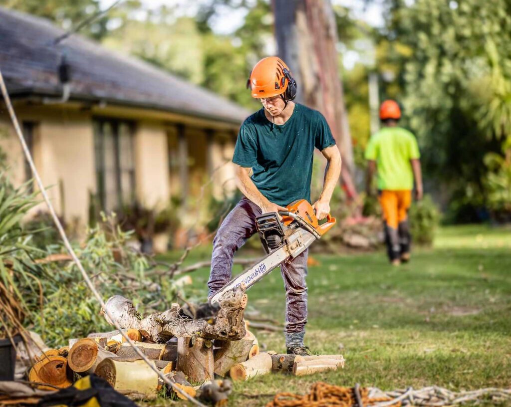 Arborist lopping a tree in Frankston VIC